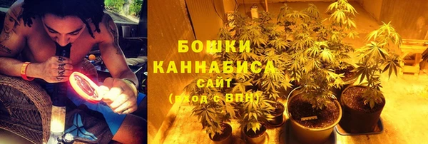 трава Волоколамск