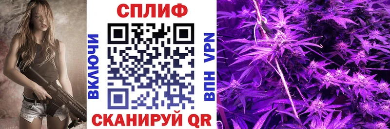 Шишки марихуана сатива  где купить наркоту  Чудово 